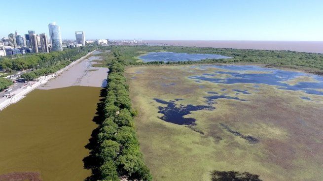La Reserva Ecológica es el mayor espacio verde de la Ciudad, con 350 hectáreas.