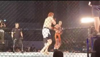 UFC: gigante de 2,20 metros y 160 kilos sufrió un inesperado nocaut a los 49 segundos