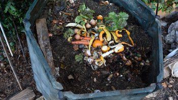 los 10 consejos para empezar a compostar con residuos organicos