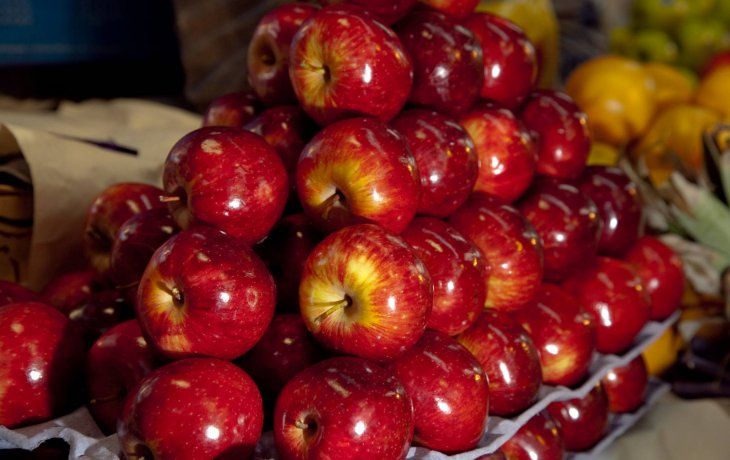 brasil rechazo un embarque de frutas de rio negro por la presencia de larvas