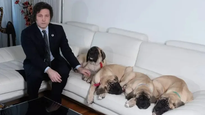 Javier Milei y sus mascotas, a quien hace referencia como sus hijos.