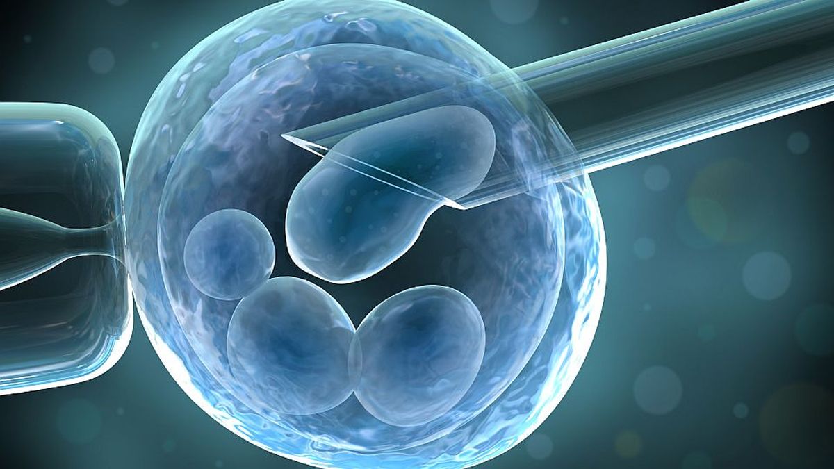 What are preconception genetic studies in fertility treatments?