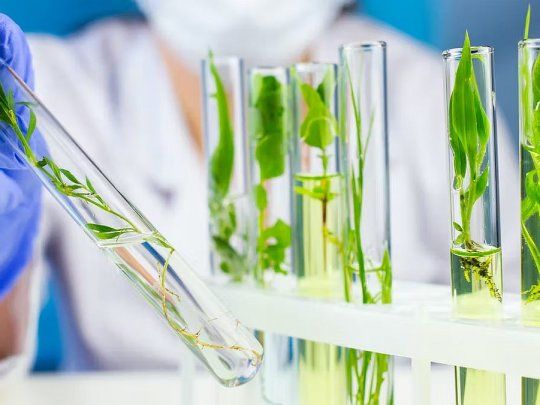 Uruguay avanza en una convocatoria para fomentar la biotecnología en el país.