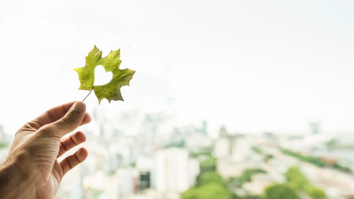 Can Montevideo become a sustainable city?