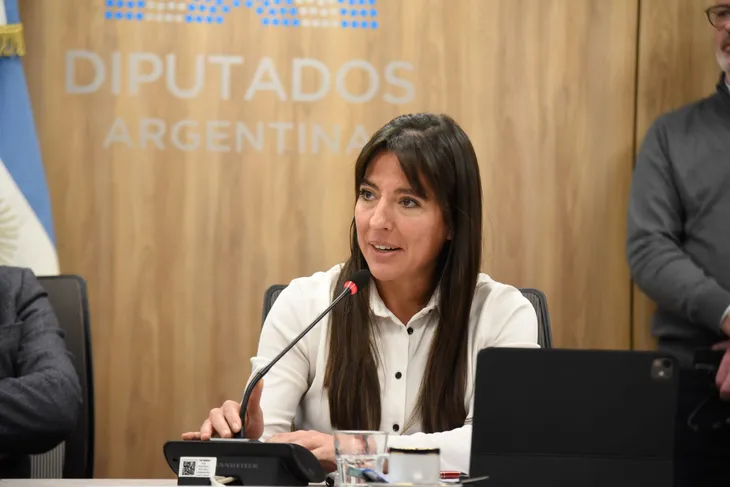 Pamela Verasay, presidenta de la Comisión de Transporte de Diputados.