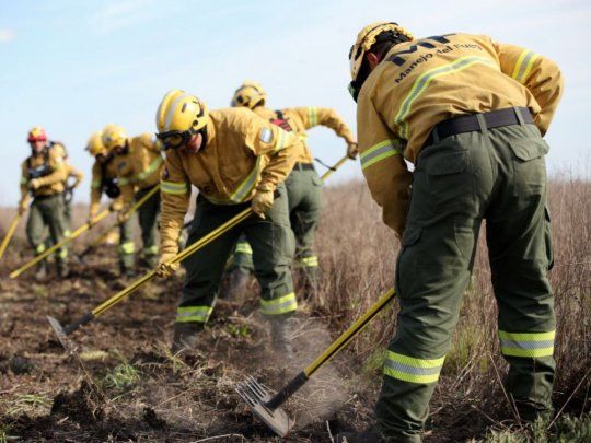 Brigadistas trabajando en el Delta. 