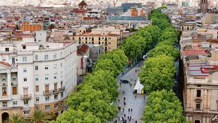 Barcelona se renueva: conocé la nueva oferta cultural y gastronómica