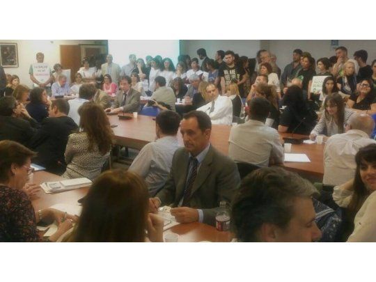 Otro avance en Diputados para despenalizar uso de cannabis medicinal