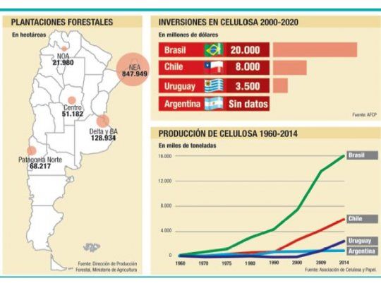 El bosque argentino está (des)encantado