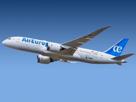 Dreamliner 787.jpg