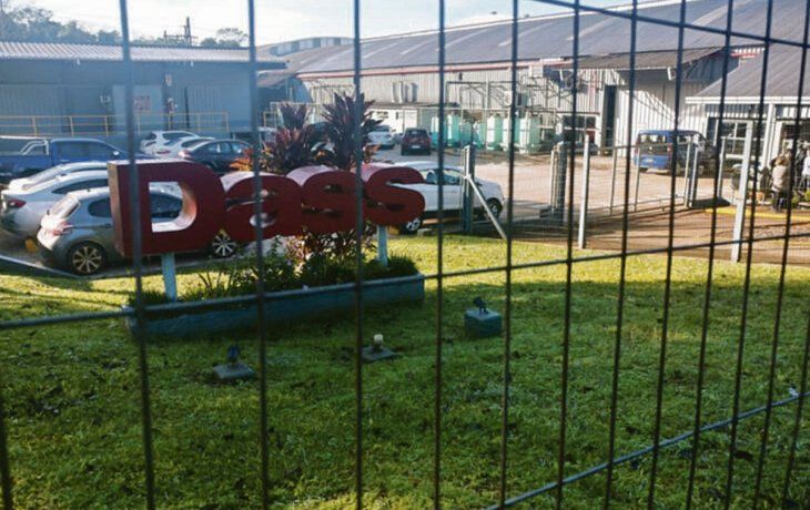 impacto. La planta de Dass en Eldorado, Misiones, estuvo a punto de cerrar en 2019 por la crisis económica.