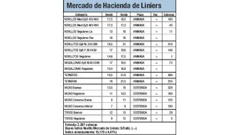 Ingreso de 2.287 vacunos en Liniers