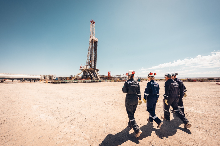 Alicurá, El Chocón, Cerros Colorados y Piedra del Águila, en el centro del proceso de privatización.
