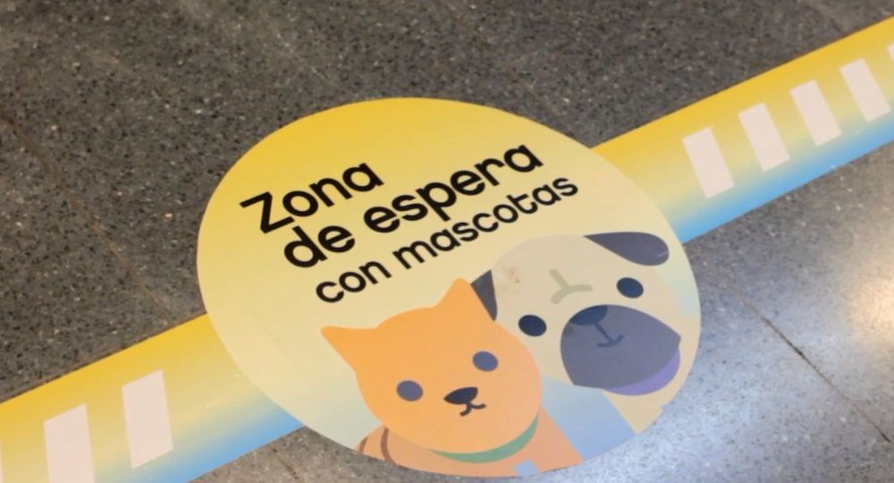 Ahora los perros y gatos también pueden viajar en subte
