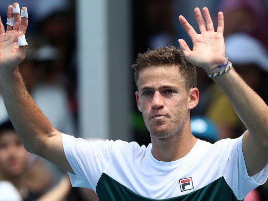 Schwartzman superó a Davidovich Fokina.