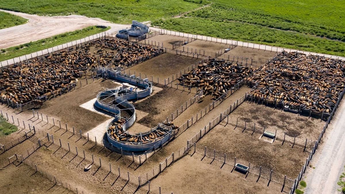 Sworn Investor, the agricultural arm of the Brito family received a loan of US million