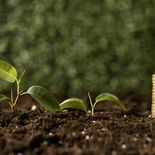 El Banco Mundial prevé una baja del 7% en los valores de materias primas. El Banco Mundial prevé una baja del 7% en los valores de materias primas.