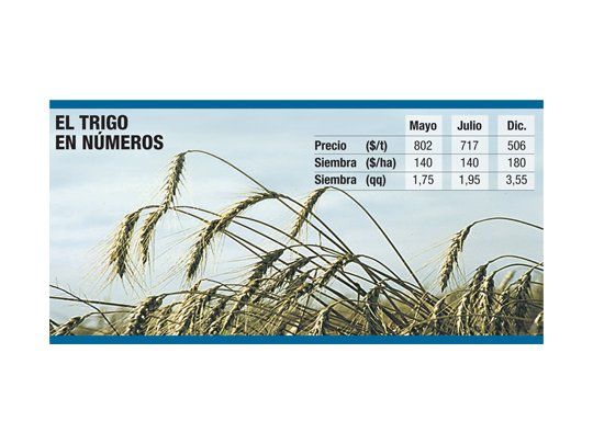 Problemas del trigo afectan cadena comercial del interior