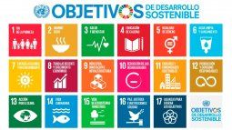 An agenda needs an action plan and business leaders to drive an acceleration in contributions to the SDGs. An agenda needs an action plan and business leaders to drive an acceleration in contributions to the SDGs.