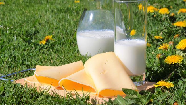 Especialistas invitan a repensar una&nbsp; alternativa vegetal que combine beneficios nutricionales y sostenibilidad ambiental.