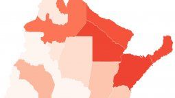 El mapa del dengue en Argentina.