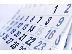 anses: como es el calendario de julio 2022 con el feriado