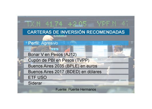 Cuáles serán las mejores opciones para invertir en 2010 (foto 5)