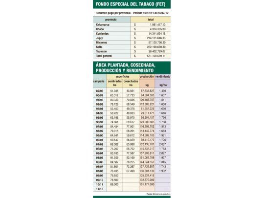 Bajará la siembra de tabaco por la falta de liquidez