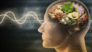 Cerebro y alimentos perjudiciales.&nbsp;