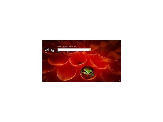 Bing, el buscador de Microsoft.