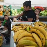 La medida que dejaba a más de 20 millones de estadounidenses sin ayuda alimentaría, dio marcha atrás por la resolución de un juez federal. La medida que dejaba a más de 20 millones de estadounidenses sin ayuda alimentaría, dio marcha atrás por la resolución de un juez federal.