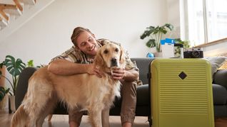 Viajar a Brasil con una mascota requiere organizar con tiempo la documentación y el traslado.