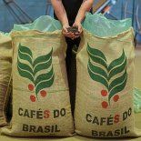 Los ingresos en dólares aumentaron 25,3% impulsados por precios internacionales. Los ingresos en dólares aumentaron 25,3% impulsados por precios internacionales.