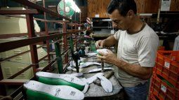 The opening combo with a delay of the dollar and rises of rates pŕesiona to the industries.