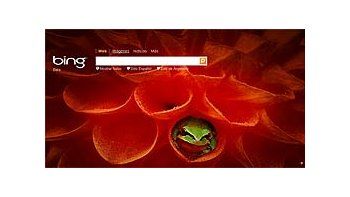 Bing, el buscador de Microsoft.