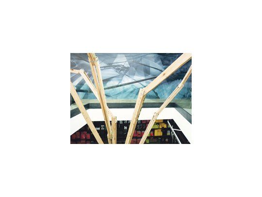 La Fundación Proa invitó a varios curadores a concebir un proyecto que incluyera a tres y cuatro artistas, para convertirse en un espacio expositivo total.