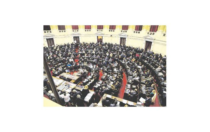 Diputados. La promoción de la fertilización recibió media sanción de la Cámara de Diputados, pero hasta el momento no logró avanzar en la Cámara alta.