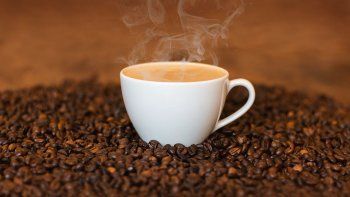 cafe: mas del 60% de sus variedades, en peligro de extincion