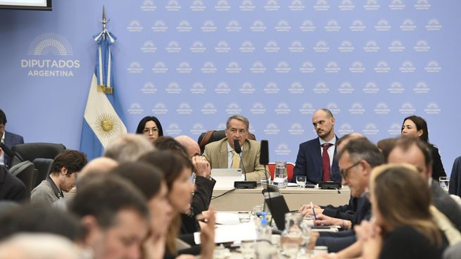 El oficialismo busca darle media sanción al texto antes de que empiece julio.