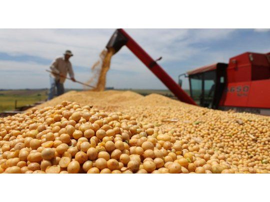 Otorgarán subsidios por $1.000 millones a productores de soja en provincias del Plan Belgrano