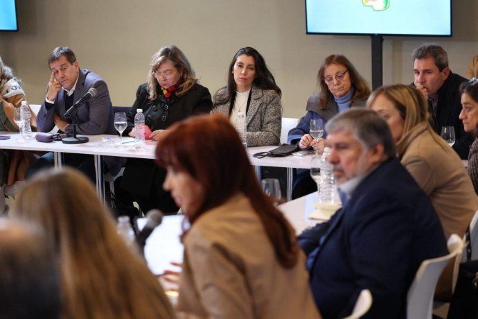 Cristina Kirchner les pidió a los senadores avanzar con los proyectos aprobados en Diputados.