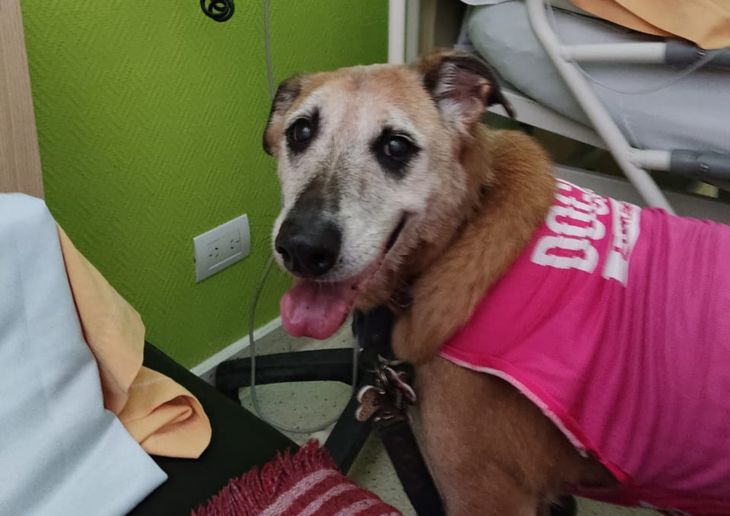Ramallo was authorized to visit its owner while crossing a hospitalization at the CEMIC.