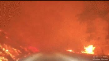 En primera persona: a través de los devastadores incendios forestales en California
