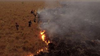 La Masonería argentina lamentó el fuego en Corrientes y pidió aplicar la Ley de Educación Ambiental