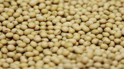 En su discurso, Milei vinculó la falta de actualización normativa con la brecha productiva frente a Brasil. 