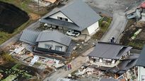Los terremotos podrán ser anticipados gracias a un animal.