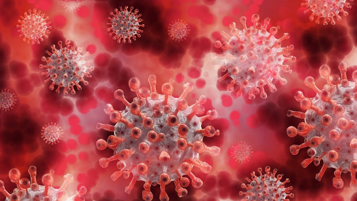Covid-19: la OMS no descarta ninguna de las teorías sobre el origen del virus
