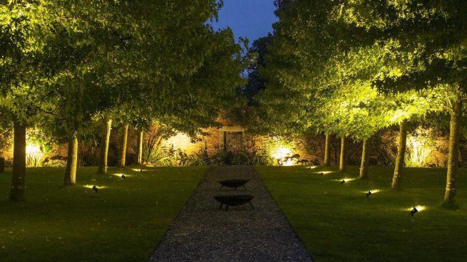 Así podés iluminar tu jardín de noche de manera sustentable.