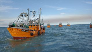 Conductores navales de Chubut se oponen al aumento del canón pesquero del langostino. Conductores navales de Chubut se oponen al aumento del canón pesquero del langostino.
