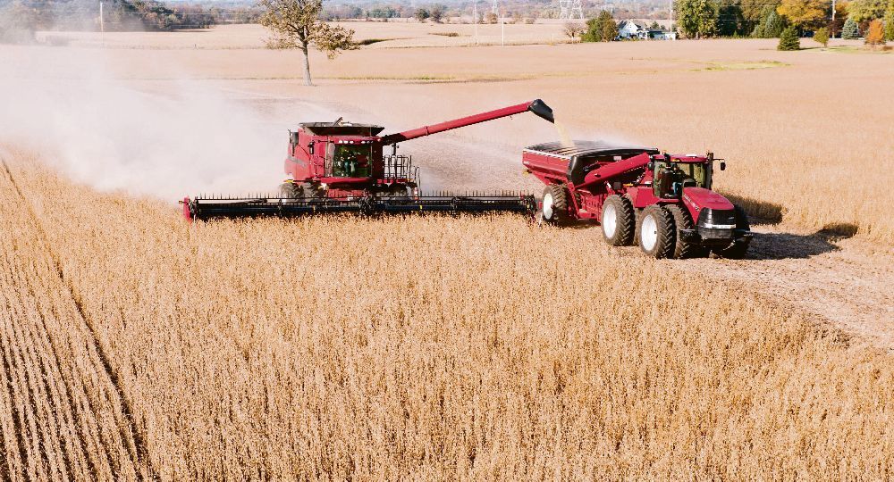proyección. China compra alrededor de 100 millones de toneladas de soja y no podrá prescindir tan facilmente del producto norteamericano. Se especula que también saldría a comprar aceite y harina de otros países.